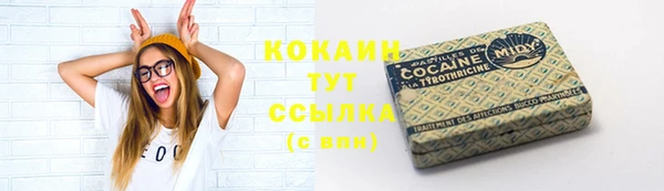 гашик Белокуриха