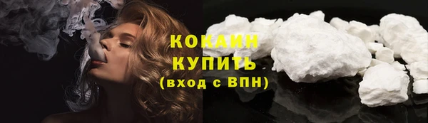 гашик Белокуриха