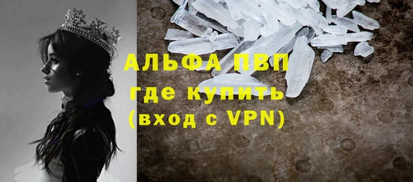 гашик Белокуриха